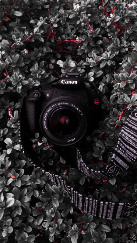 Фотоаппарат обои