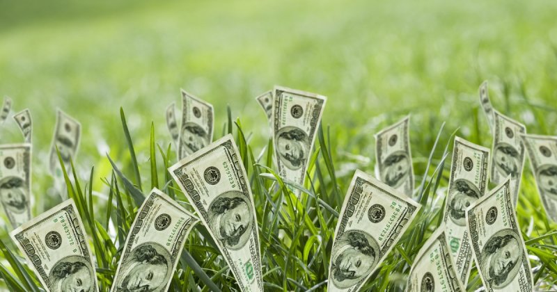 Обои на рабочий стол богатство