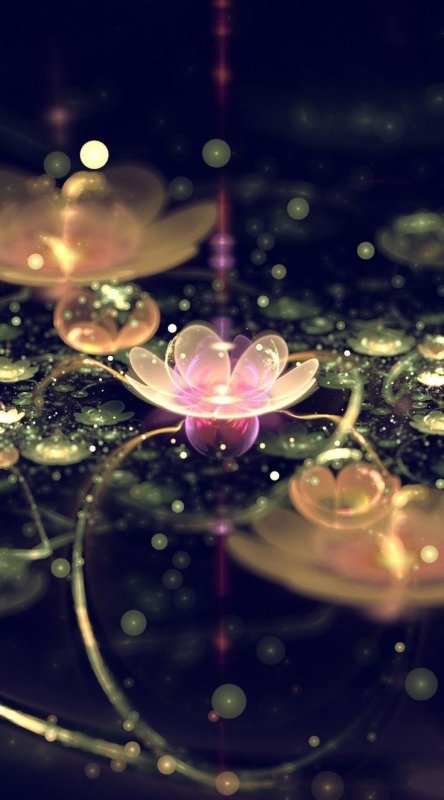 Заставка на телефон волшебство