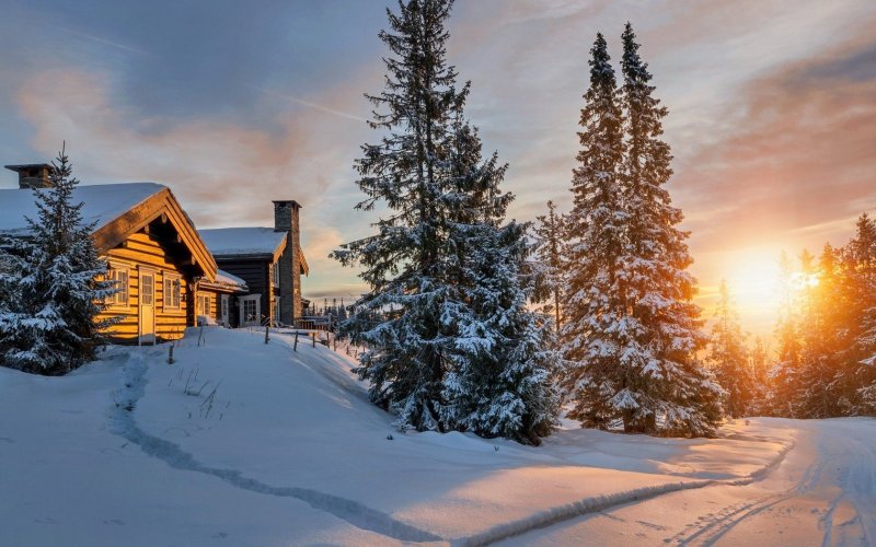 Зимняя природа