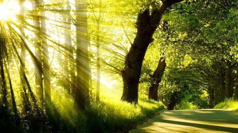 Природа солнце