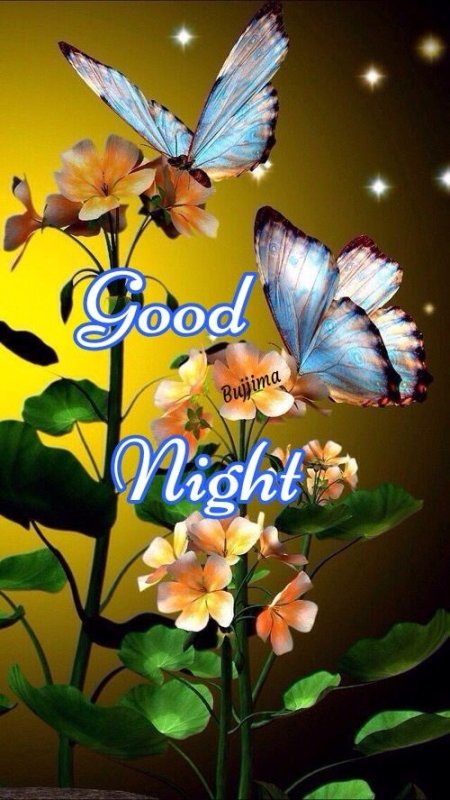 Красивые бабочки на цветах