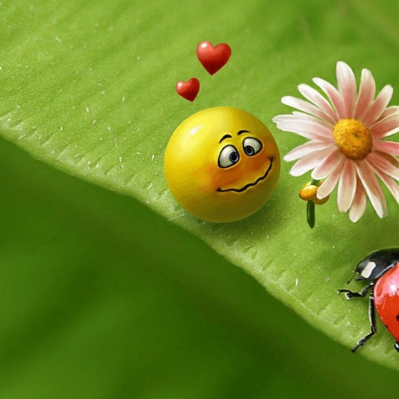 Позитивные картиночки