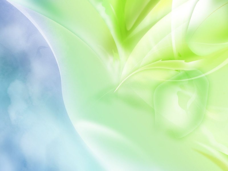 Красивый зеленый фон для презентации