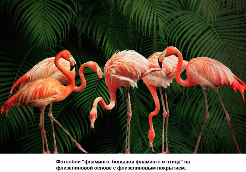 Фламинго в джунглях