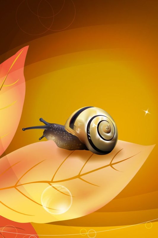 Улитка на листике