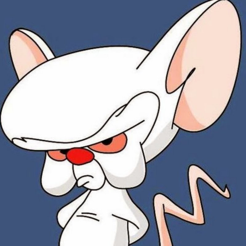 Мыши из Пинки и Брейн