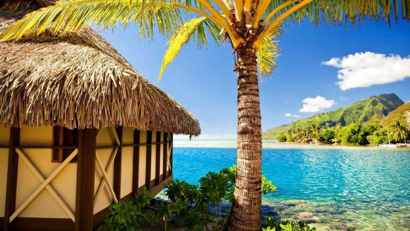 Тропический пляж