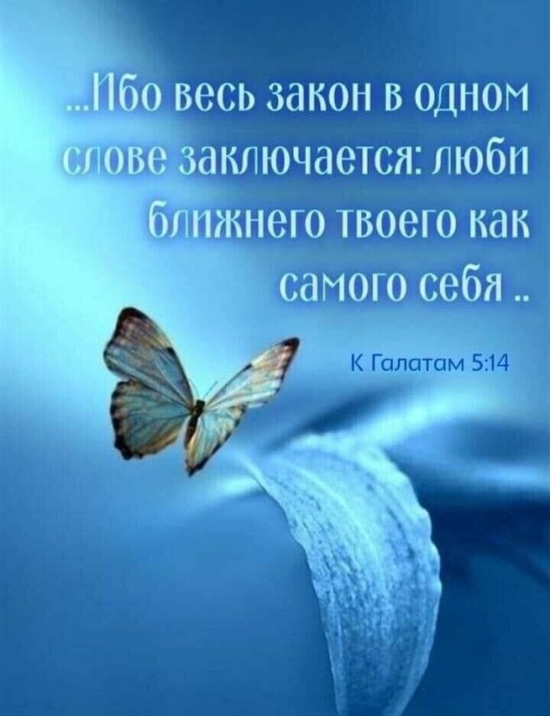 Обои с бабочками