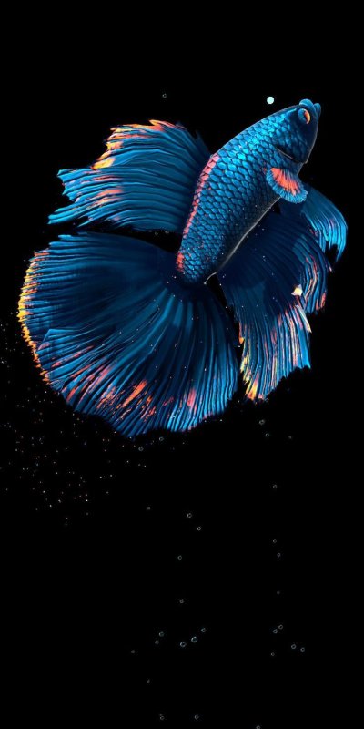 Рыбка айфон