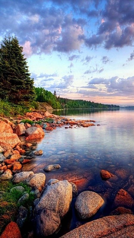 Природа вертикальные