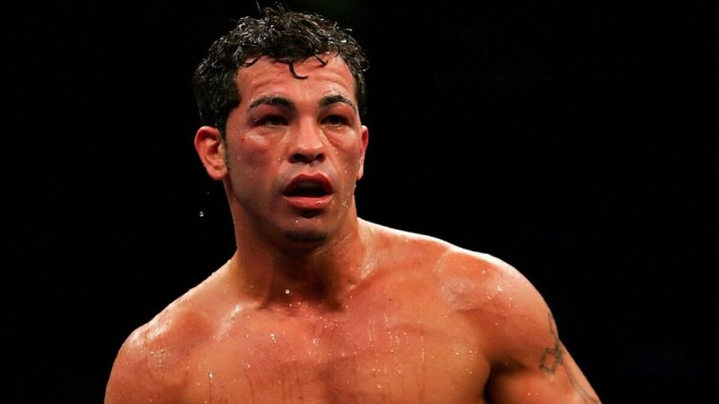 Гатти боксер