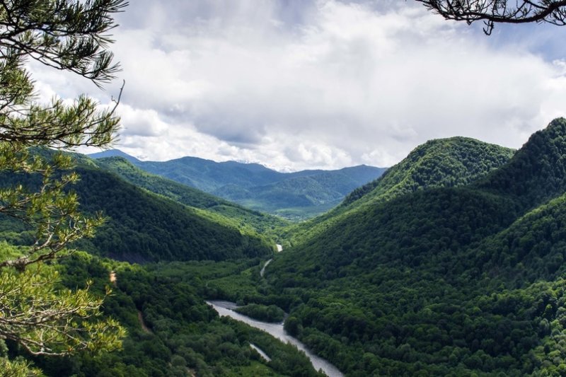 Лагонаки Хамышки