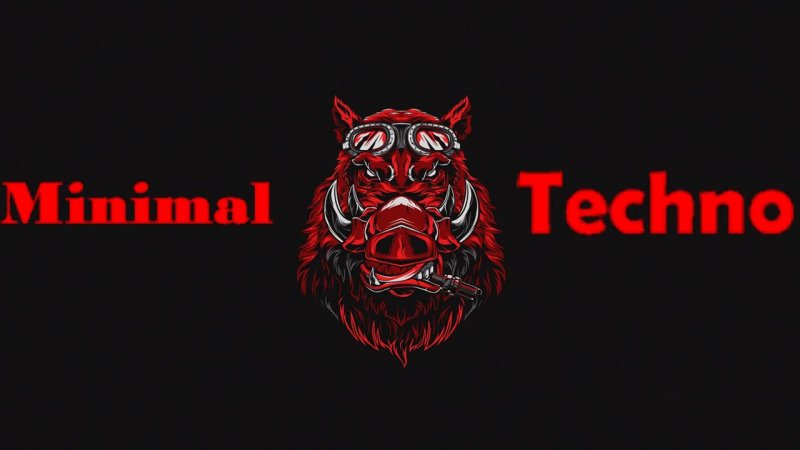 Кабан на черном фоне