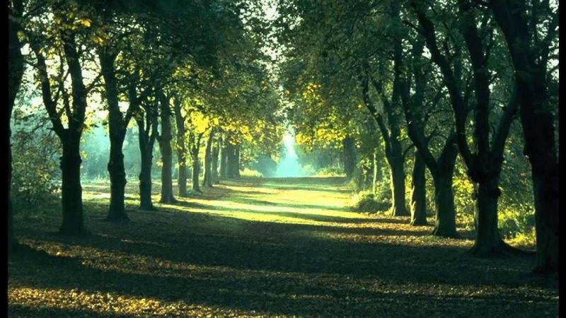 Красивые пейзажи для релаксации