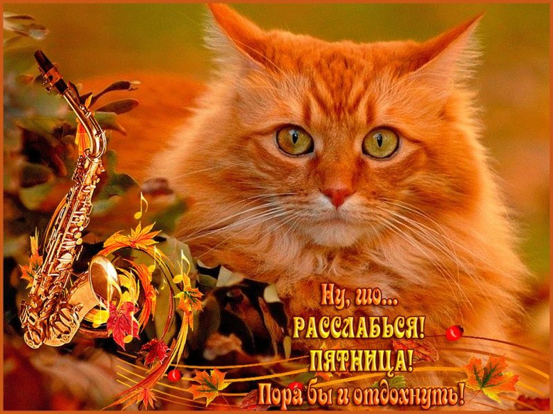 Рыжая крошка