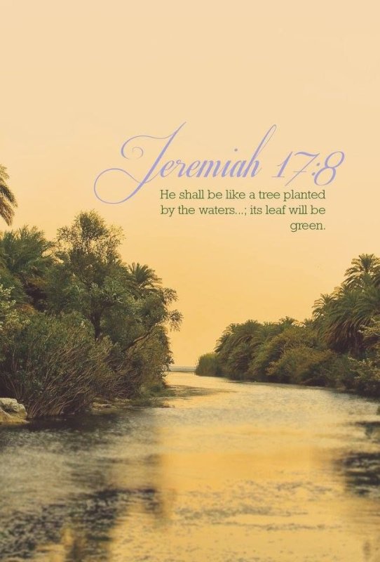 Заставки на телефон пейзажи