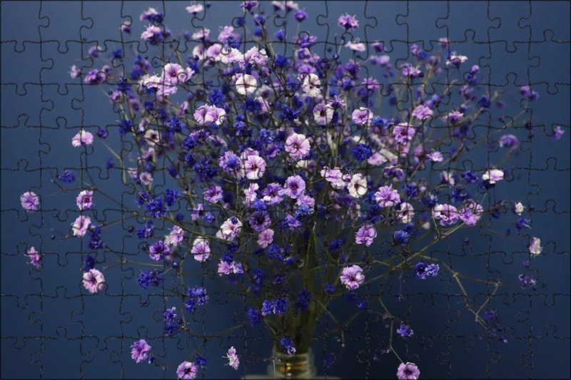 Фиолетовые гипсофилы Эстетика