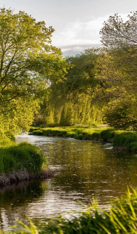 Пейзаж с рекой