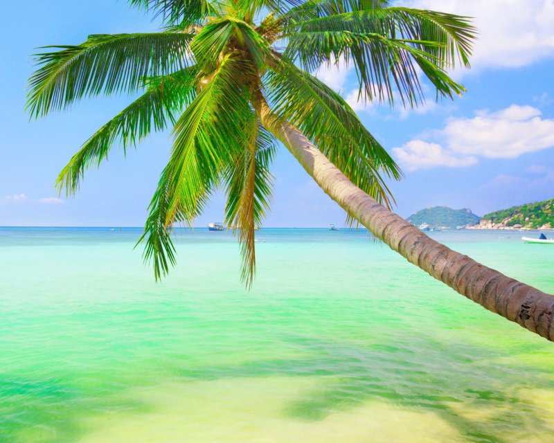 Парадиз остров Карибского моря