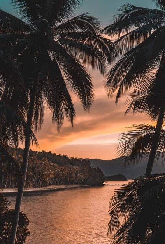 Тропический пейзаж