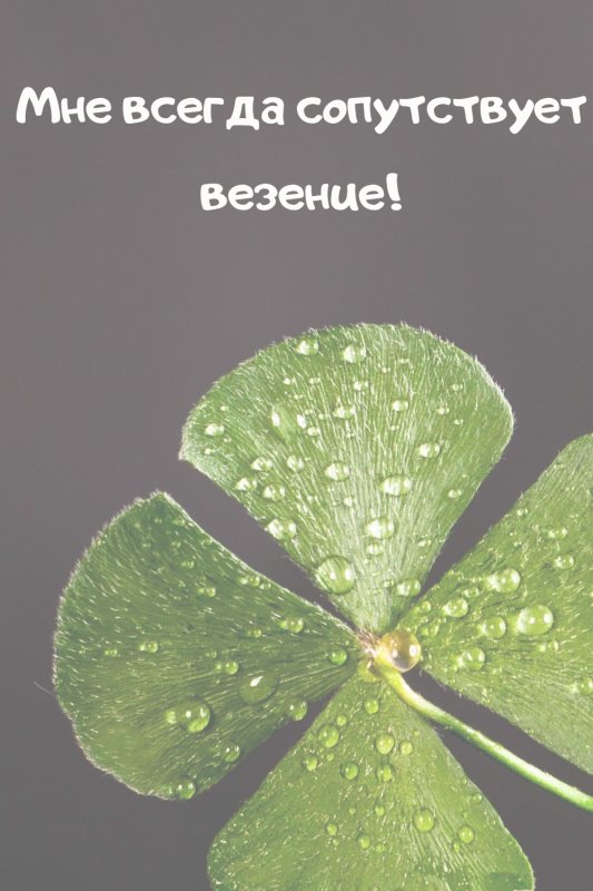 Обои с аффирмациями для телефона