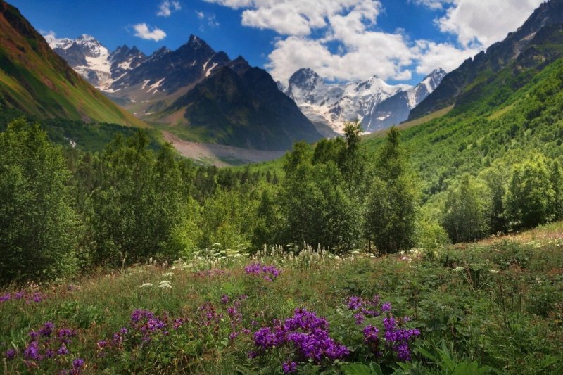 Домбай Альпийские Луга