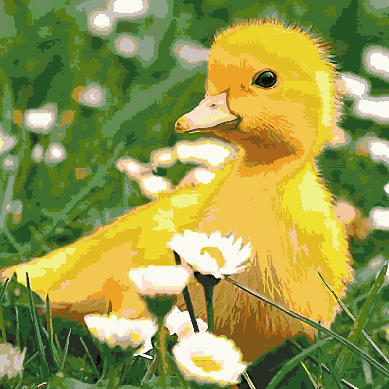 Утка черри Велли