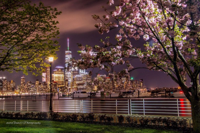 Центр парк Нью-Йорк