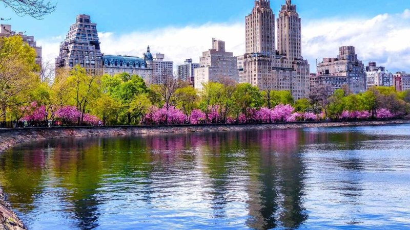 Центральный парк Нью-Йорк весной