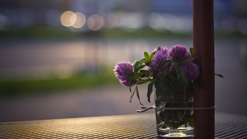 Цветы на столе