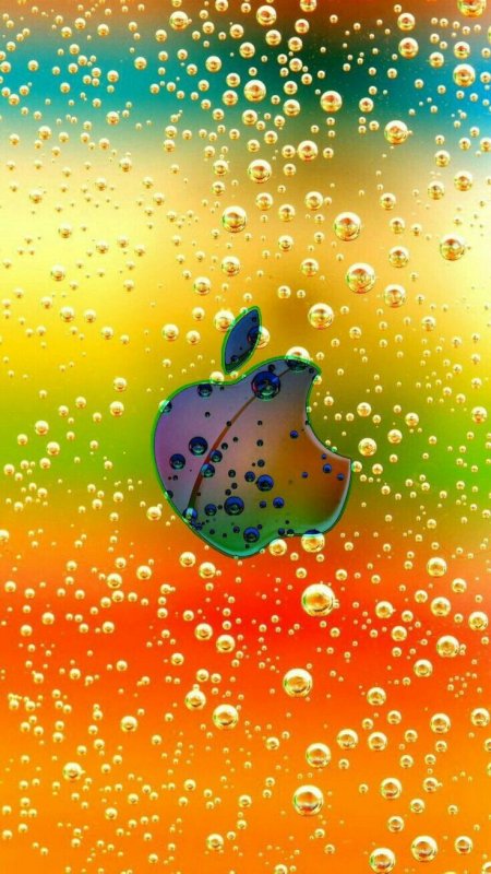 Яркие заставки на телефон