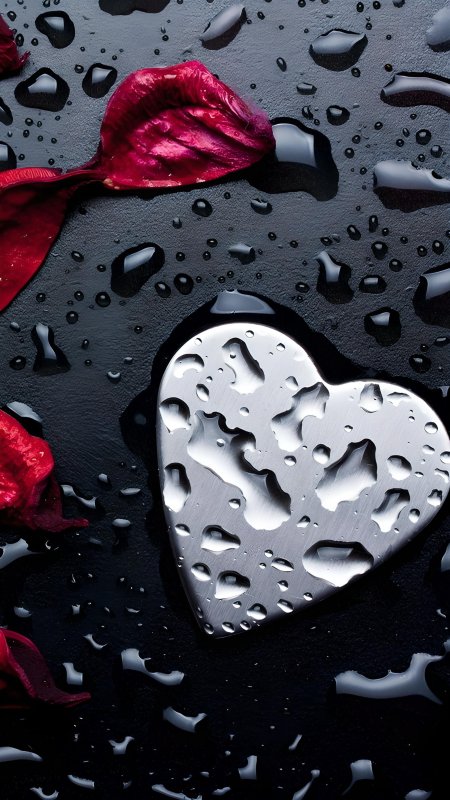 Фотообои телефон