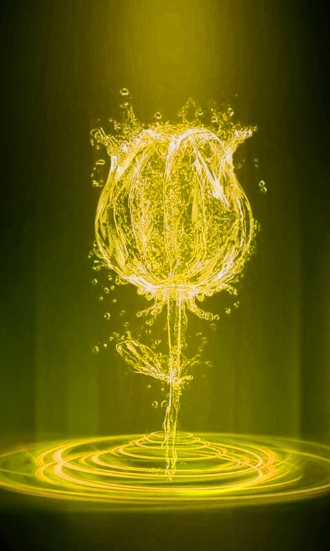 Энергия цветов