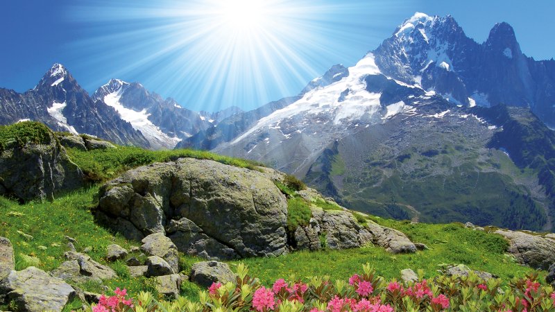 Альпийские Луга Северного Кавказа