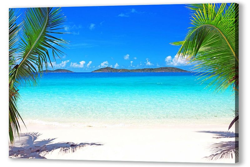 Пальмы и океан