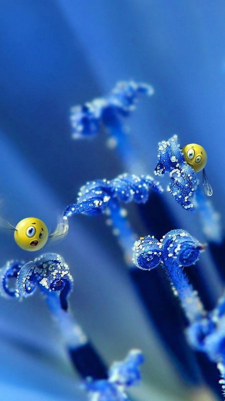 Заставки на телефон красивые