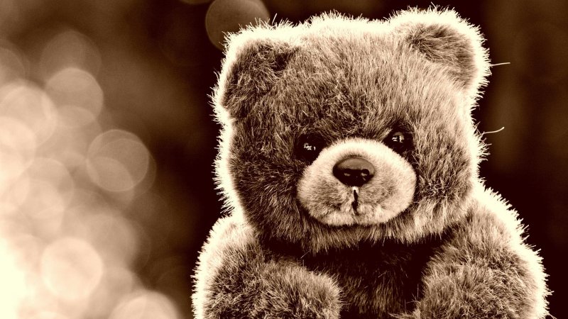 Плюшевый Медвежонок