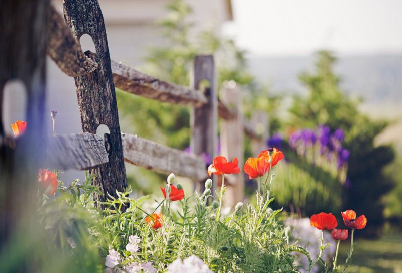 Весенние картинки на рабочий стол