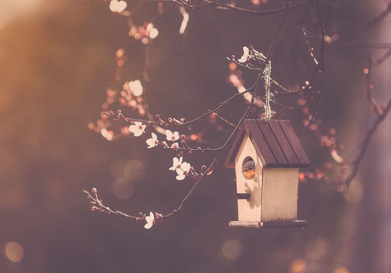 Весенние уютные заставки