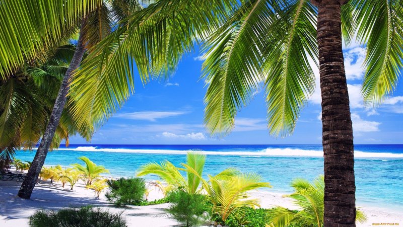 Доминикана Карибы