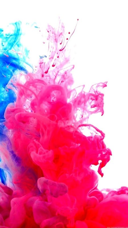 Яркие краски