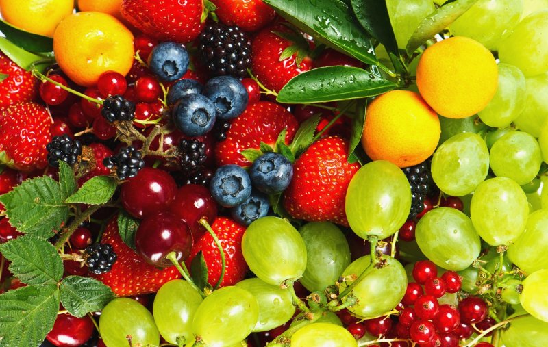 Красивые ягоды