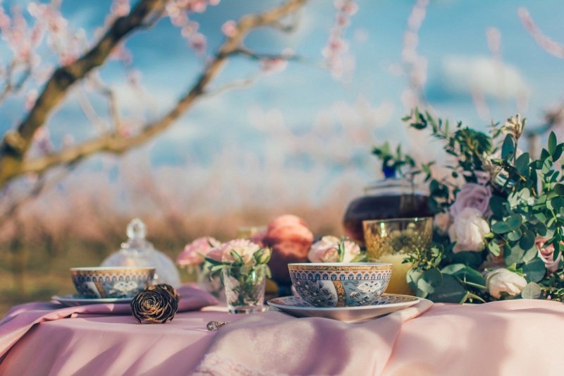 Весеннее утро в саду