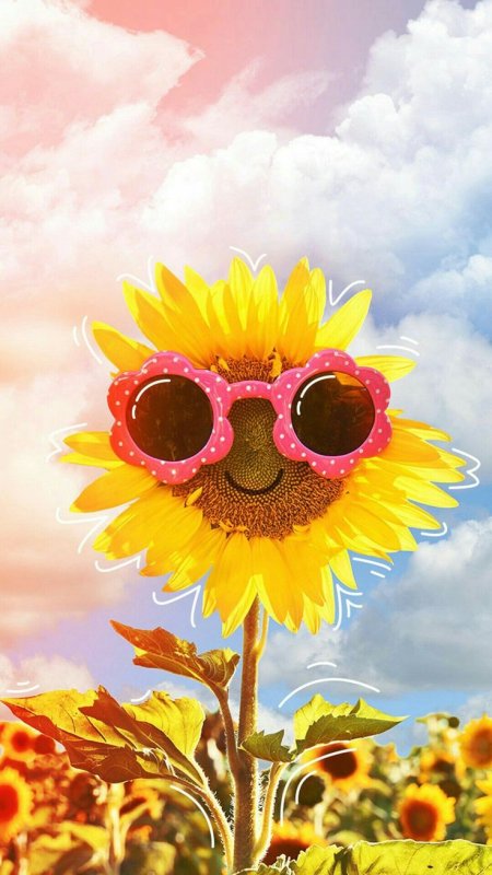 Веселое лето