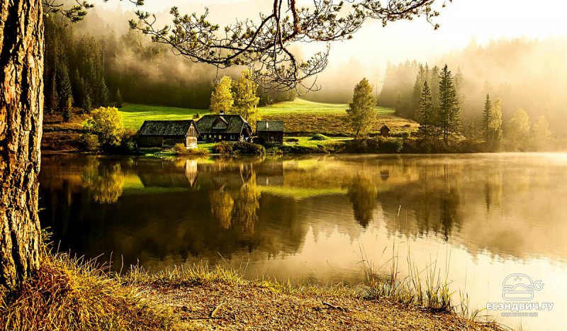 Деревенский пейзаж