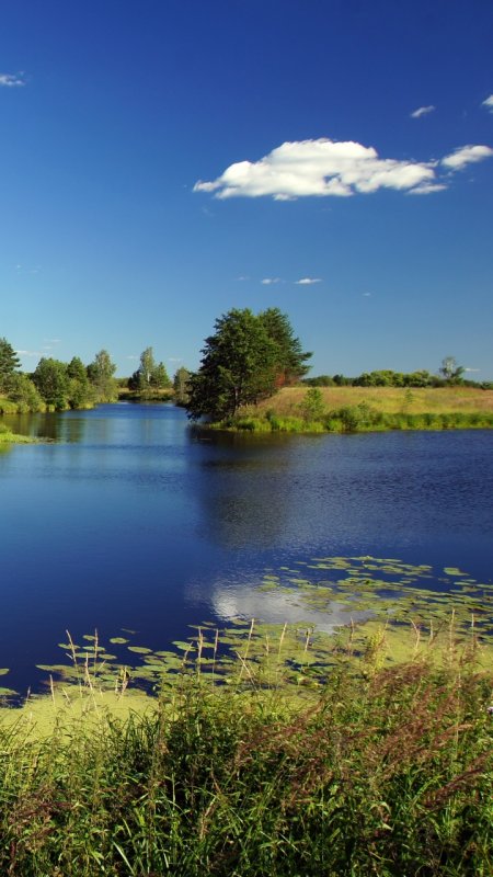 Летняя река