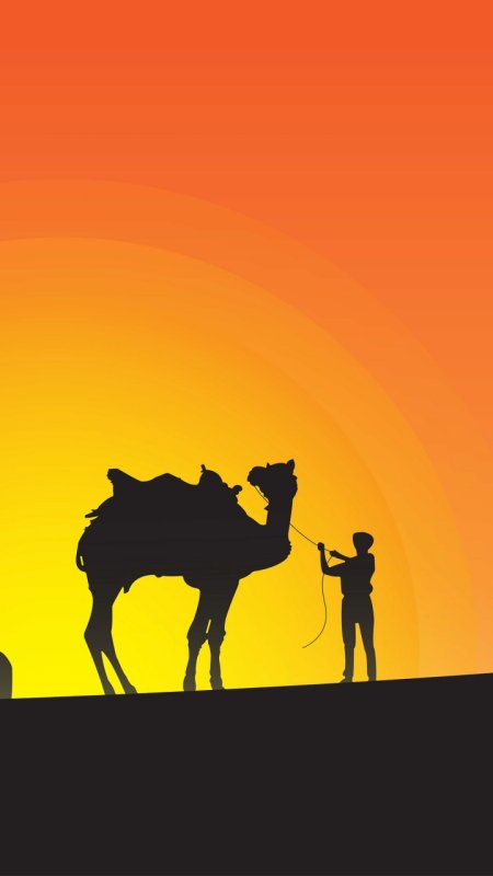 Верблюд на фоне солнца