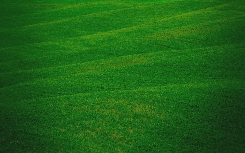 Успакавающий зелёный цвет