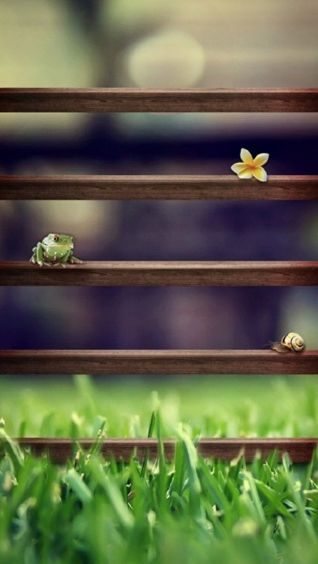 Заставка на экран домой